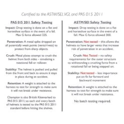 Champion Evolution Puissance Helmet - Navy -Roeckl Sales Store 402166 800 800